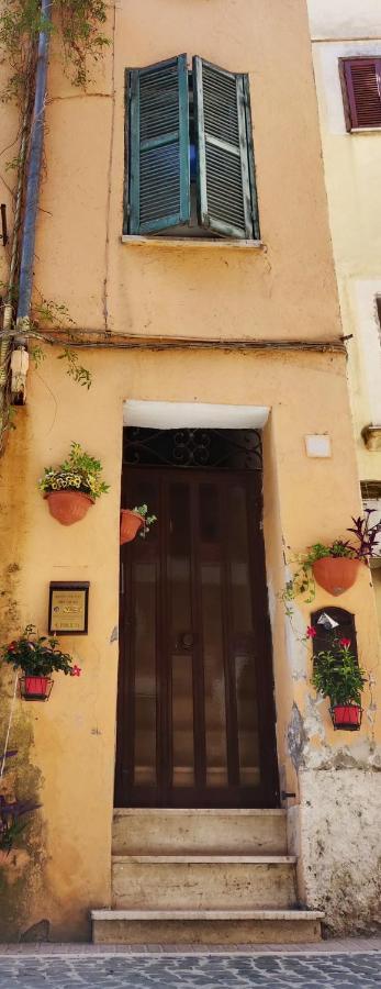 Affitto Turistico - La Terrazzina Apartamento Monterotondo  Exterior foto